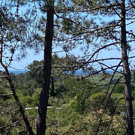 Maison Architecte Bois Du Kador A Morgat Crozon Kültér fotó