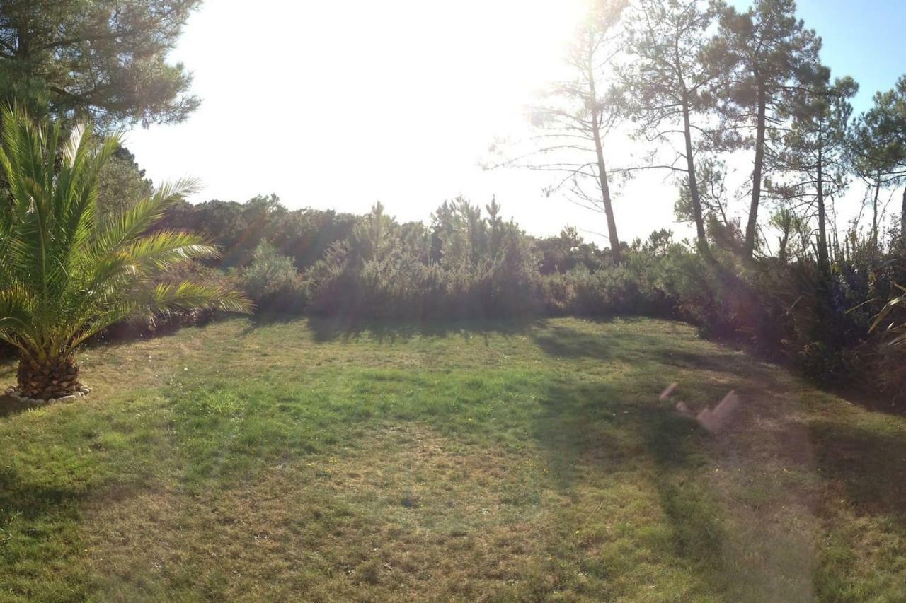 Maison Architecte Bois Du Kador A Morgat Crozon Kültér fotó