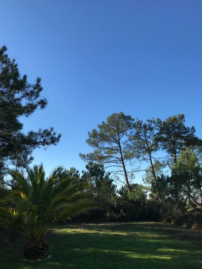 Maison Architecte Bois Du Kador A Morgat Crozon Kültér fotó